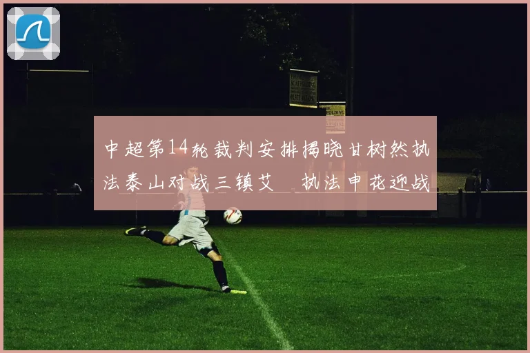 中超第14轮裁判安排揭晓甘树然执法泰山对战三镇艾堃执法申花迎战新鹏城