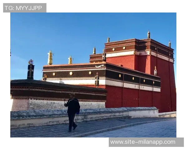 蒂尔曼赞科塔在顺逆境中始终保持冷静心态令人钦佩